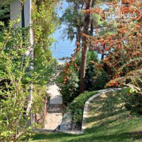 фото из отзыва ID 2681529