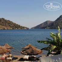 фото из отзыва ID 2681529