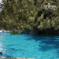 фото из отзыва ID 2681529