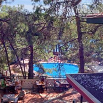 фото из отзыва ID 2681529