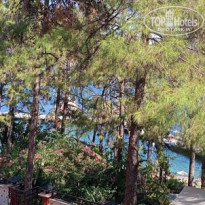 фото из отзыва ID 2681529