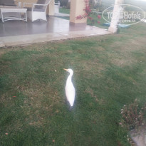 фото из отзыва ID 2681540