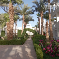 фото из отзыва ID 2681574