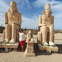 фото из отзыва ID 2681590