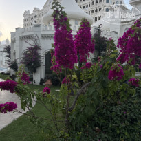 фото из отзыва ID 2681595