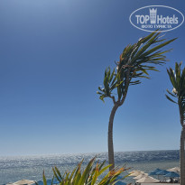 фото из отзыва ID 2681605