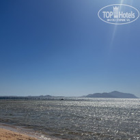 фото из отзыва ID 2681605