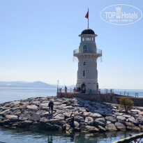 фото из отзыва ID 2681633