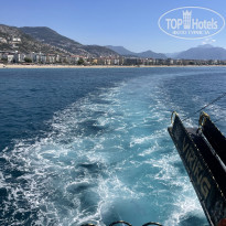 фото из отзыва ID 2681633