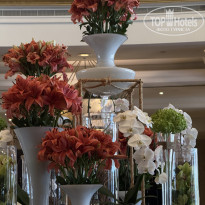 фото из отзыва ID 2681662