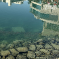 фото из отзыва ID 2681662