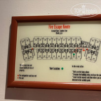 фото из отзыва ID 2681807