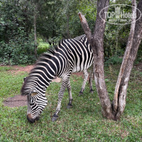 фото из отзыва ID 2681807