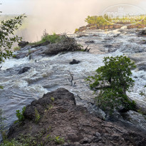 фото из отзыва ID 2681807