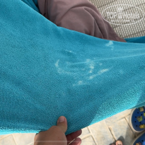 фото из отзыва ID 2681914