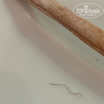 фото из отзыва ID 2681976