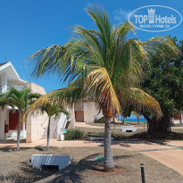 фото из отзыва ID 2682022