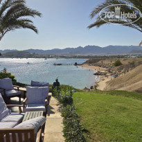 фото из отзыва ID 2682026