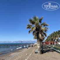 фото из отзыва ID 2681998