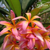 фото из отзыва ID 2682075