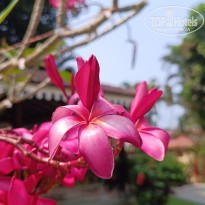 фото из отзыва ID 2682075