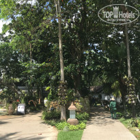 фото из отзыва ID 2682084