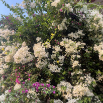 фото из отзыва ID 2682110