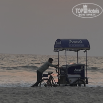 фото из отзыва ID 2682110