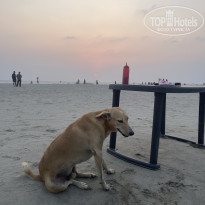 фото из отзыва ID 2682110