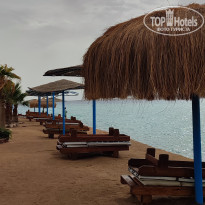 фото из отзыва ID 2682121