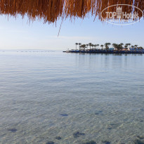 фото из отзыва ID 2682121