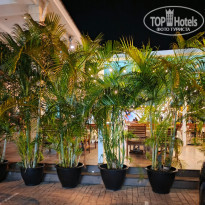 фото из отзыва ID 2682133