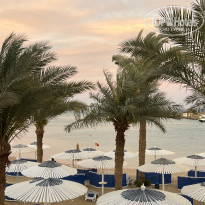 фото из отзыва ID 2682151