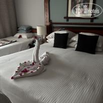 фото из отзыва ID 2682178