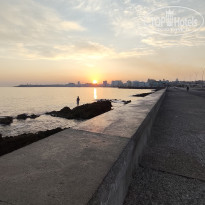 фото из отзыва ID 2682183