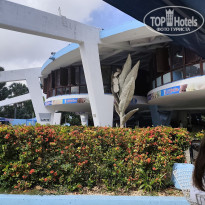 фото из отзыва ID 2682183