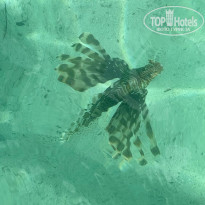 фото из отзыва ID 2682176