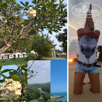 фото из отзыва ID 2682184