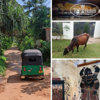 фото из отзыва ID 2682184