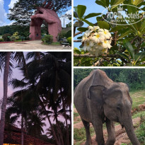 фото из отзыва ID 2682184