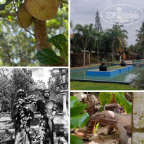 фото из отзыва ID 2682184