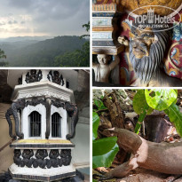 фото из отзыва ID 2682184