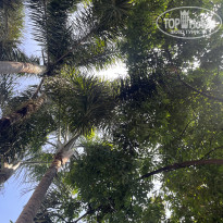 фото из отзыва ID 2682225