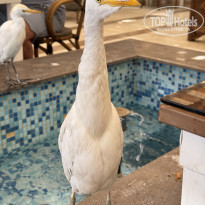 фото из отзыва ID 2682261