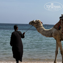 фото из отзыва ID 2682261