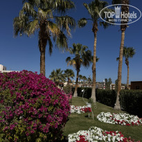 фото из отзыва ID 2682261