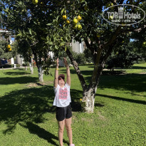 фото из отзыва ID 2682302