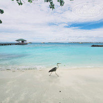 фото из отзыва ID 2680989