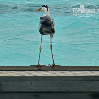 фото из отзыва ID 2680989