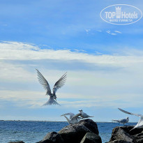 фото из отзыва ID 2680989